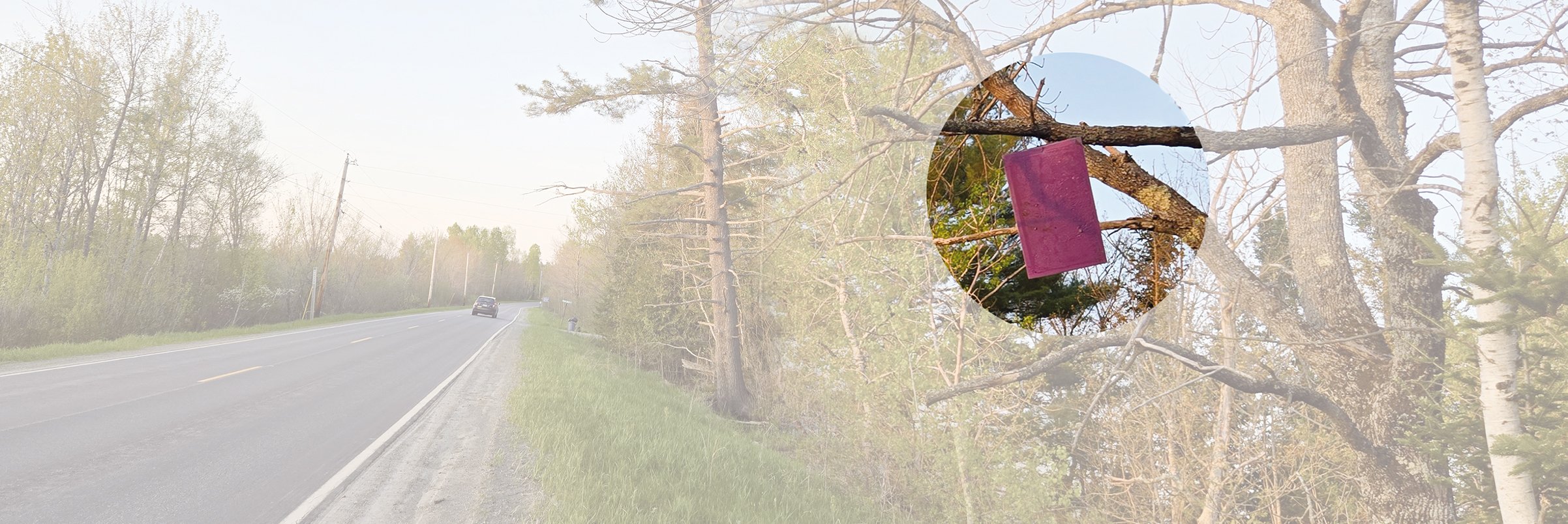 Maine Town and City Magazine