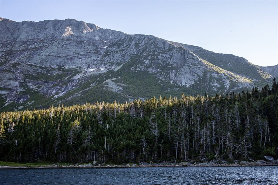 Maine Natural Resource Conservation Program (MNRCP) Accepting Proposals