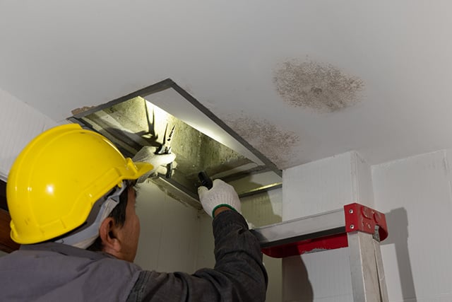 Mold Complaints: Case studies for Local Health Officers - May 21
