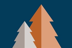 Updated Public Comment Guidance