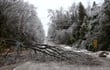 Emergency Management Resources