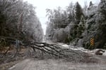Emergency Management Resources