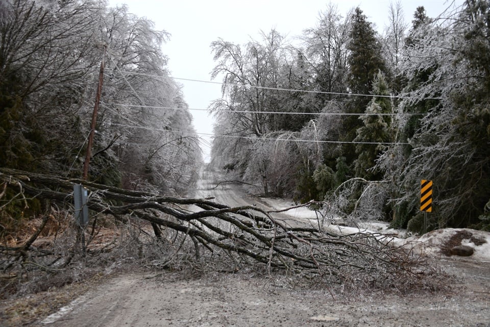 Emergency Management Resources