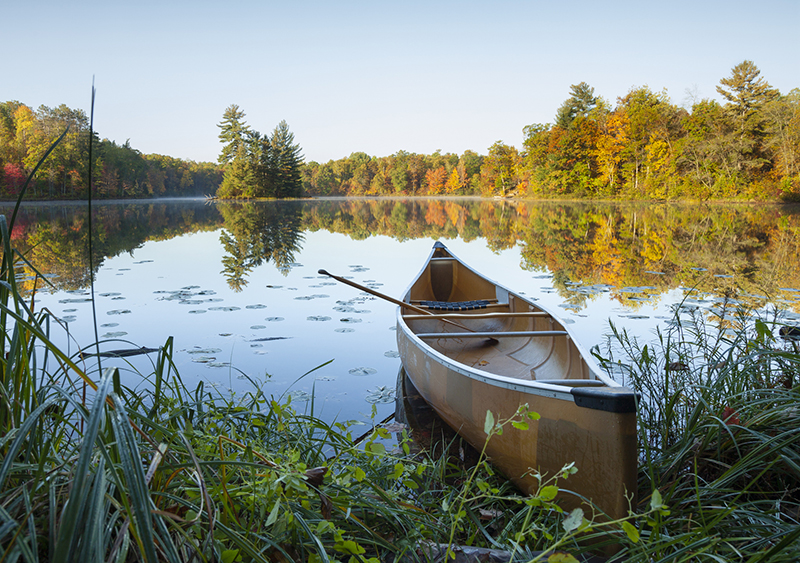 Maine Department of Inland Fisheries & Wildlife - F.A.Q. for Municipalities